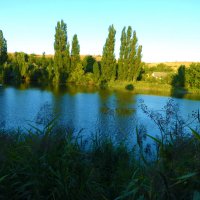 Вечер :: Валентин Семчишин