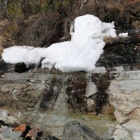 Весна :: Ольга Весна :: Ольга