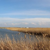 **** :: Виктор 