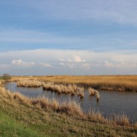 **** :: Виктор 