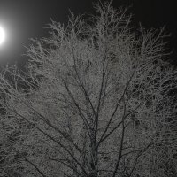 День-Ночь :: Павел Трунцев