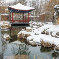 В Парке Хуамин :: юрий поляков