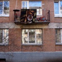 здесь живет тигр :: zavitok *