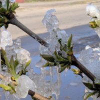 начало апреля 11 :: Александр Прокудин начало апреля 11 :: Александр Прокудин