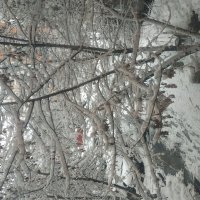 Ну, настоящий апрель :: Андрей Лукьянов