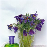 Чем пахнет весна ? :: nadyasilyuk Вознюк