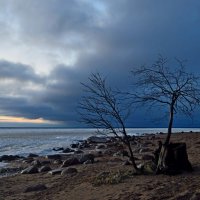 Зимним вечером...... :: Юрий Цыплятников