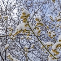 Апрельский декор :: Валерий Иванович