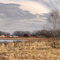 На городских окраинах. :: Игорь Сикорский