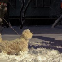 ***** :: юрий поляков ***** :: юрий поляков