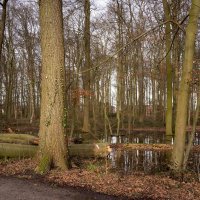 В черте города... :: Николай Гирш