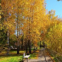 Место для прогулок :: Сергей Беляев