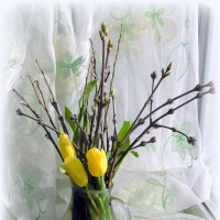 Весна в букете. :: nadyasilyuk Вознюк