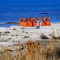 Гости из туркмении :: Анатолий Чикчирный