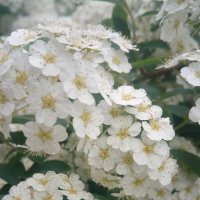 ,,, :: Сергей Тимоновский