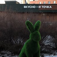 Маленькому зайчику холодно весной! :: Ольга 