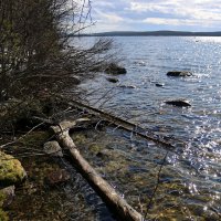 Однако, весна... :: Ольга Однако, весна... :: Ольга