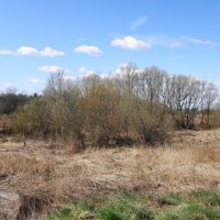 Городские окраины :: Рита Симонова Городские окраины :: Рита Симонова