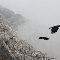 Альпы, высота 2040м :: ZNatasha -