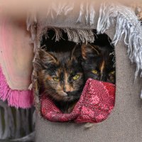 Братья/сёстры :: Вадим 