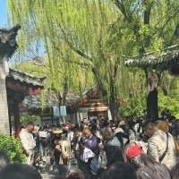 Весна в Китае :: Ирэн 