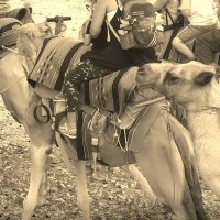 110 (175) :: СТРЕН 