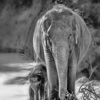 Мать и дитя :: Андроник Александр Мать и дитя :: Андроник Александр