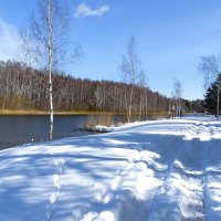 На городском пляже "немного" навалило снега (репортаж из поездок по области). :: Милешкин Владимир Алексеевич 