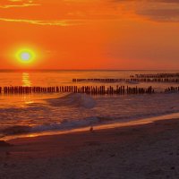 Оранжевый рассвет :: Юрий. Шмаков