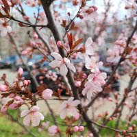 ,,, :: Сергей Тимоновский