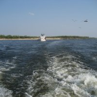 На Лене :: Anna Ivanova