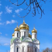 С вербным воскресеньем, друзья! :: Ольга 