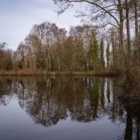 В отражении... :: Николай Гирш