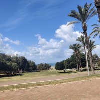 " :: Светлана Хращевская