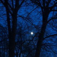 полнолуние над Дворцовой :: zavitok *