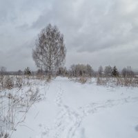 Желающих сходить на дачи после снегопада 2 человека :: Сергей Цветков Желающих сходить на дачи после снегопада 2 человека :: Сергей Цветков