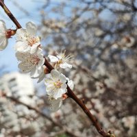 ... :: Сергей Тимоновский