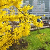 ... :: Сергей Тимоновский