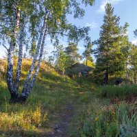 Летнее утро на перевале. Ильменский хребет. :: Алексей Трухин