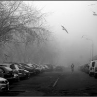 Утро... :: Aleksandr Gal