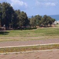 Наше место. :: Светлана Хращевская