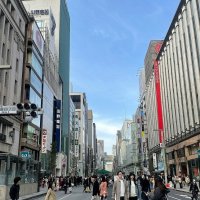 На улицах Токио :: Елена 