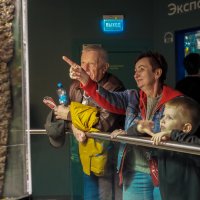 Зарисовка из Москвариума :: юрий поляков