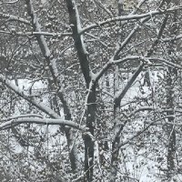 Апрель расцвёл пышным СНЕГОМ!! :: Татьяна Юрасова