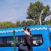 *** :: Владимир Захаров