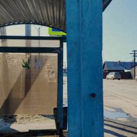 голубая остановка :: Любовь голубая остановка :: Любовь