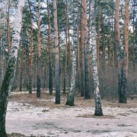 Весна :: Георгиевич 