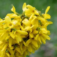 микронаселение :: Сеня Белгородский микронаселение :: Сеня Белгородский