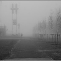 *** :: Aleksandr Gal