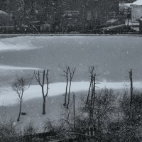 Снежный апрель... :: Владимир Шошин